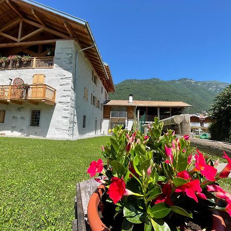La Lesivera Bed And Breakfast Tione di Trento Ngoại thất bức ảnh